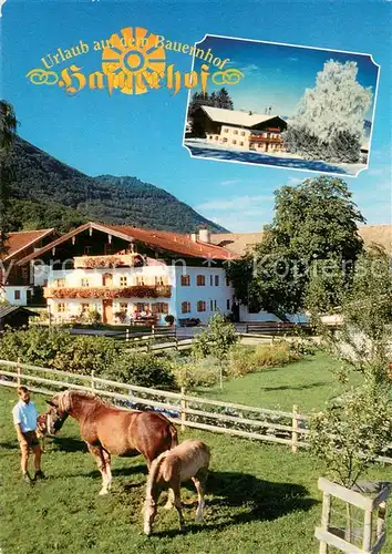 AK / Ansichtskarte Staudach_Grassau Hafnerhof Appartements und Zimmer Pferdekoppel Staudach Grassau