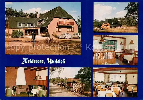 AK / Ansichtskarte Undeloh Gasthaus Pension Heiderose Restaurant Fremdenzimmer Pferdekutsche Lueneburger Heide  Undeloh