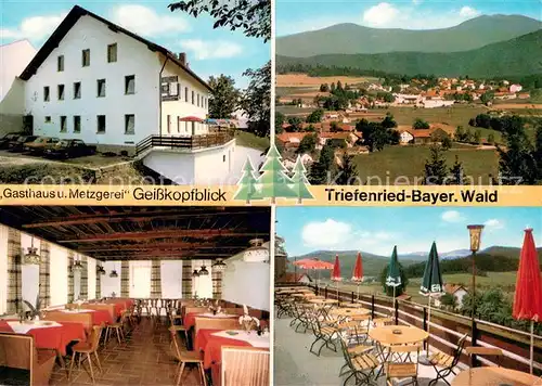 AK / Ansichtskarte Triefenried_Niederbayern Gasthaus Metzgerei Geisskopfblick Restaurant Terrasse Panorama Bayerischer Wald Triefenried Niederbayern