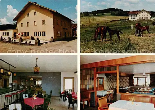 AK / Ansichtskarte Linden_Geiersthal Gasthof Pension Maurer im Bayerischen Wald Gastraum Pferdekoppel Linden_Geiersthal