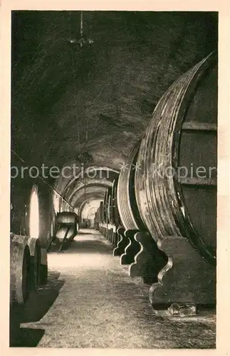 AK / Ansichtskarte Wein Moet & Chandon Weingut Wein