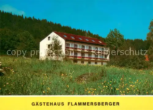 AK / Ansichtskarte Beiwald_Spiegelau Gaestehaus Flammersberger Tor zum Nationalpark Blumenwiese 