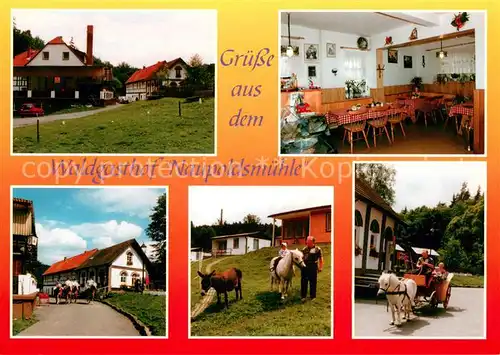 AK / Ansichtskarte Eisenberg_Thueringen Waldgasthof Naupoldsmuehle Ponykutsche Ponyreiten Eisenberg Thueringen