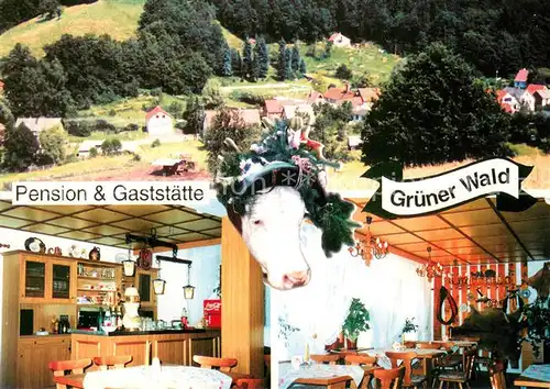 AK / Ansichtskarte Langendembach Pension Gaststaette Gruener Wald Restaurant Kuh Ortsansicht Langendembach