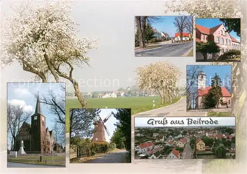 AK / Ansichtskarte Beilrode Kirche Windmuehle Ortspartien Beilrode