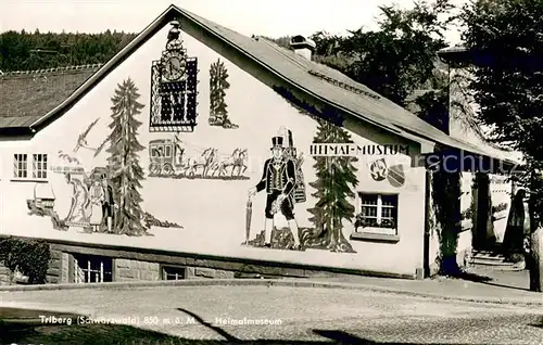 AK / Ansichtskarte Triberg_Schwarzwald Heimatmuseum Fassadenmalerei Triberg Schwarzwald