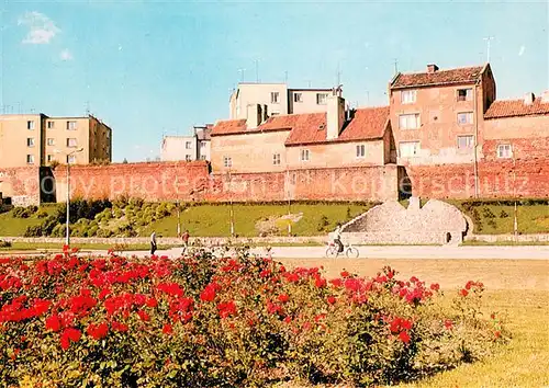 AK / Ansichtskarte Paslek Fragment miasta Teilansicht Stadtmauer Blumenbeet Paslek