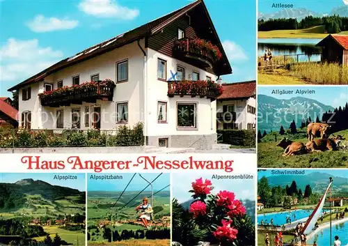 AK / Ansichtskarte Nesselwang Gaestehaus Pension Haus Angerer Attlesee Allgaeuer Alpen Almvieh Kuehe Freibad Alpenrosenbluete Alpspitze Sessellift Nesselwang