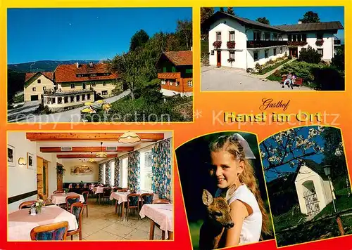 AK / Ansichtskarte Aspang Markt Gasthof Hansl im Ort Gaststube Kind mit Reh Bildstock Aspang Markt