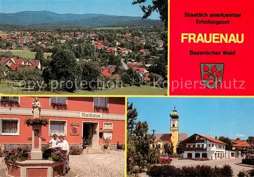 AK / Ansichtskarte Frauenau Panorama Rathaus Brunnen Frauenau