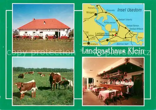 AK / Ansichtskarte Mellenthin Landgasthaus Klein Gastraum Rinderherde Inselkarte Mellenthin