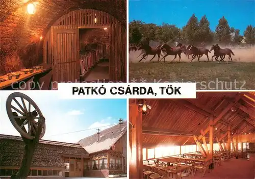 AK / Ansichtskarte Toek_Ungarn Patko Csarda Restaurant Weinkeller Pferde  Toek_Ungarn
