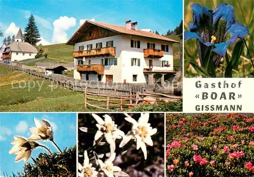 AK / Ansichtskarte Gissmann Gasthof Boar Alpenflora Natur 