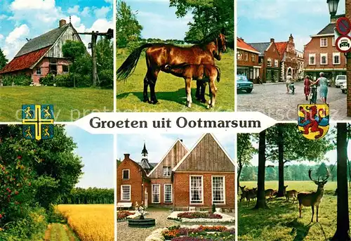 AK / Ansichtskarte Ootmarsum Teilansichten Alte Haeuse Bauernhof Landschaftspanorama Wild Hirsch Pferde Ootmarsum