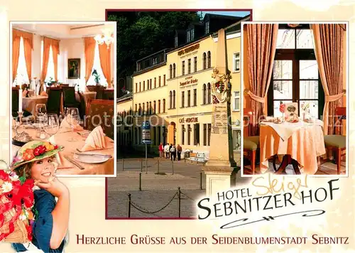 AK / Ansichtskarte Sebnitz Hotel Sebnitzer Hof Restaurant Denkmal Sebnitz
