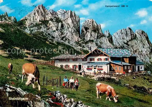 AK / Ansichtskarte Aschau_Chiemgau Steinlingalm mit Kampenwand Almvieh Kuehe Chiemgauer Alpen Aschau Chiemgau