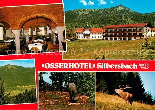 AK / Ansichtskarte Silbersbach Osserhotel Restaurant Landschaftspanorama Wildschein Hirsch Silbersbach