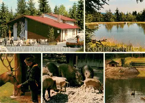 AK / Ansichtskarte Mehlmeisel Bayreuther Haus Gaststaette Restaurant Wildgehege Schwanenteich Fichtelgebirge Mehlmeisel