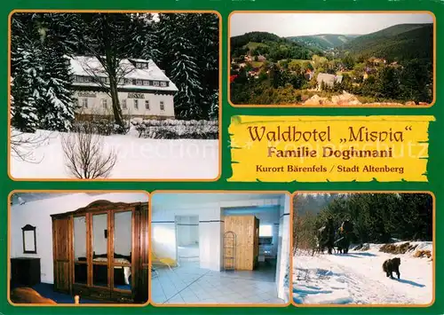 AK / Ansichtskarte Baerenfels_Erzgebirge Waldhotel Misnia Fremdenzimmer Landschaftspanorama Pferdeschlitten Baerenfels Erzgebirge