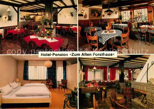 AK / Ansichtskarte Holzhausen_Reinhardswald Hotel Pension Zum alten Forsthaus Restaurant Kamin Fremdenzimmer Holzhausen Reinhardswald