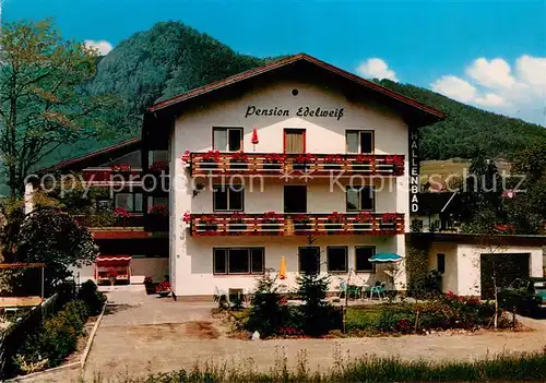 AK / Ansichtskarte Aschau_Chiemgau Hotel Pension Edelweiss Aschau Chiemgau