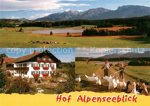 AK / Ansichtskarte Nesselwang Panorama Hof Alpenseeblick Gaenseschar Nesselwang