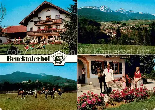 AK / Ansichtskarte Siegsdorf_Oberbayern Brucktalerhof Panorama Pferdekoppel Ponyreiten Siegsdorf Oberbayern