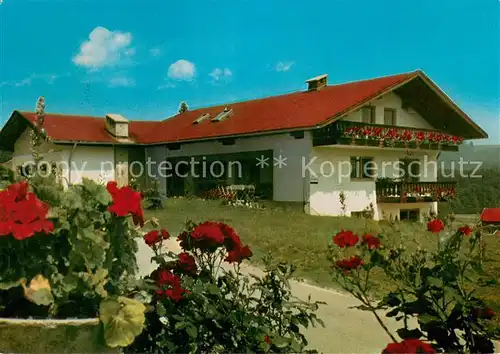 AK / Ansichtskarte Hammer_Inzell Gaestehaus Hoffmann 