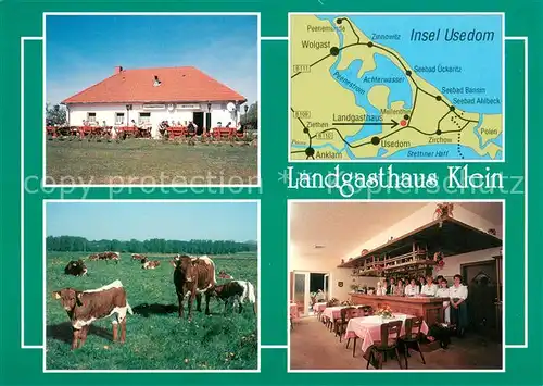 AK / Ansichtskarte Mellenthin Landgasthaus Klein Gastraum Inselkarte Rinderherde  Mellenthin