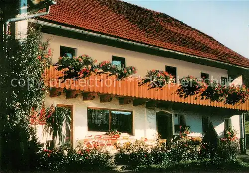 AK / Ansichtskarte Bodenmais Urlaub auf dem Rosenhof Blumenschmuck Bodenmais