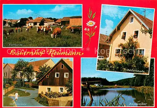 AK / Ansichtskarte Friedersreuth Bauernhof Neumann Viehherde Kuehe Ferienhaus Badeweiher Friedersreuth
