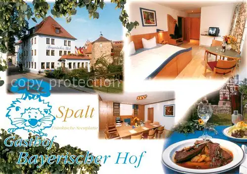 AK / Ansichtskarte Spalt Gasthof Bayerischer Hof Restaurant Fremdenzimmer Spalt