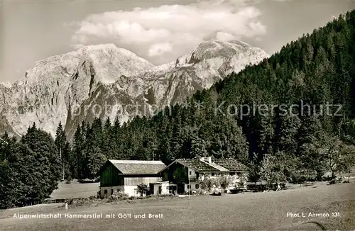 AK / Ansichtskarte Hoher_Goell Alpenwirtschaft Hammerstiel mit Goell und Brett Hoher_Goell