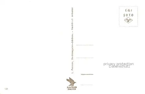 AK / Ansichtskarte Hoher_Goell Alpenwirtschaft Hammerstiel mit Goell und Brett Hoher_Goell