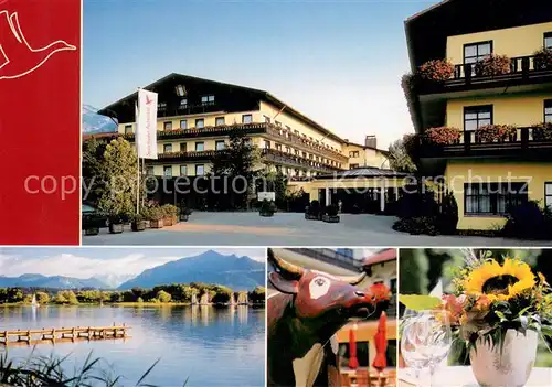 AK / Ansichtskarte Grassau_Chiemgau Sporthotel Achental Chiemsee Bunte Kuh Sonnenblume Grassau Chiemgau