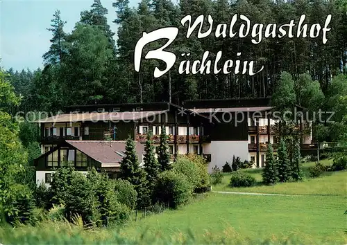 AK / Ansichtskarte Mitwitz Waldgasthof Baechlein Mitwitz