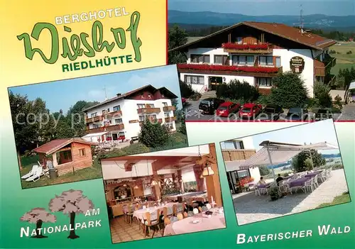 AK / Ansichtskarte Riedlhuette Berghotel Wieshof im Bayerischen Wald Restaurant Terrasse Riedlhuette