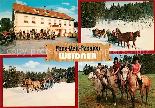 AK / Ansichtskarte Steinbach_Marktleugast Pony Reit Pension Weidner Pferdeschlitten Steinbach_Marktleugast