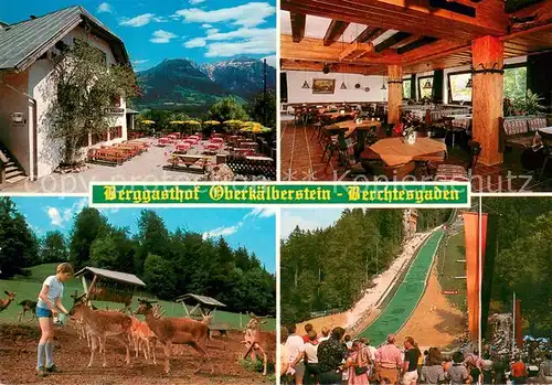 AK / Ansichtskarte Berchtesgaden Berggasthof Oberkaelberstein Restauran Terrasse Wildgehege Sommer Skisprungschanze Berchtesgaden