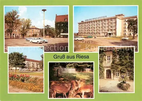 AK / Ansichtskarte Riesa_Sachsen Leninplatz Haus der Stahlwerker Greiswalder Strasse Tierpark Rathaus Riesa Sachsen