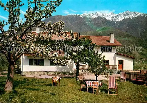 AK / Ansichtskarte Naturns Pension Zollwies Garten Baumbluete Texelgruppe Naturns