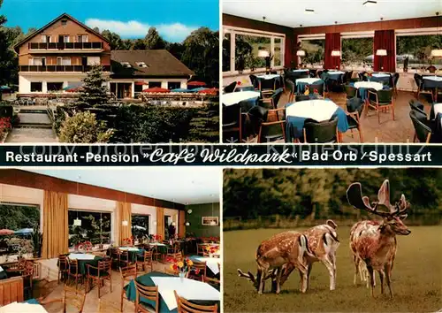 AK / Ansichtskarte Bad_Orb Restaurant Pension Cafe Wildpark Rehe Hirsch Bad_Orb