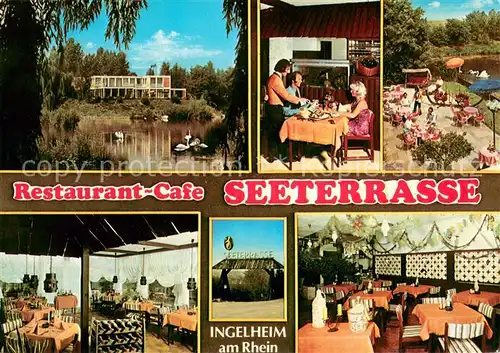AK / Ansichtskarte Ingelheim_Rhein Restaurant Cafe Seeterrasse Gastraeume Schwanenteich Ingelheim Rhein