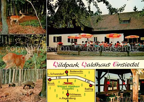 AK / Ansichtskarte Nittenau Wildpark Waldhaus Einsiedel Terrasse Gaststube Wildgehege Nittenau