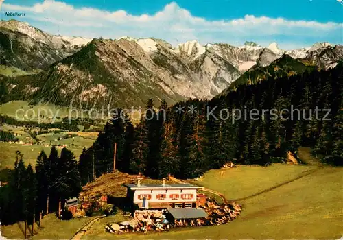 AK / Ansichtskarte Oberstdorf Gaststaette Berghaus am Soeller Fliegeraufnahme Oberstdorf