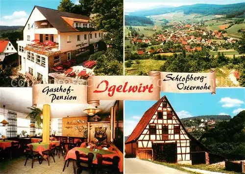 AK / Ansichtskarte Osternohe Gasthof Pension Igelwirt Panorama Osternohe