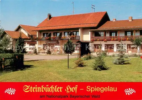 AK / Ansichtskarte Spiegelau Steinbuechler Hof Nationalpark Bayerischer Wald Spiegelau
