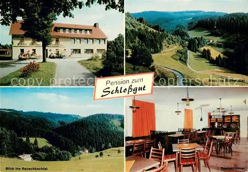 AK / Ansichtskarte Schlopp Gasthaus Pension zum Schlossgut Landschaftspanorama Steinachtal Rauschbachtal Frankenwald Schlopp