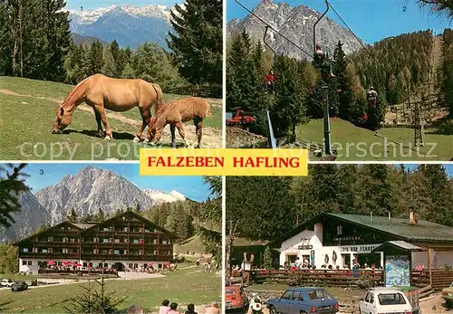 AK / Ansichtskarte Hafling Haflinger Pferde Sessellift Gasthof Falzleben mit Ifinger Cafe Panorama Hafling