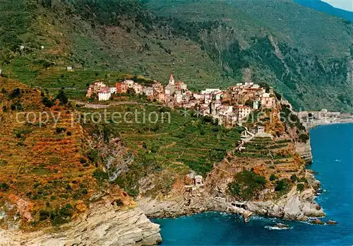 AK / Ansichtskarte Corniglia Fliegeraufnahme Corniglia